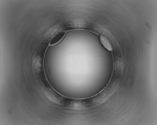 X0000112890264200908211500