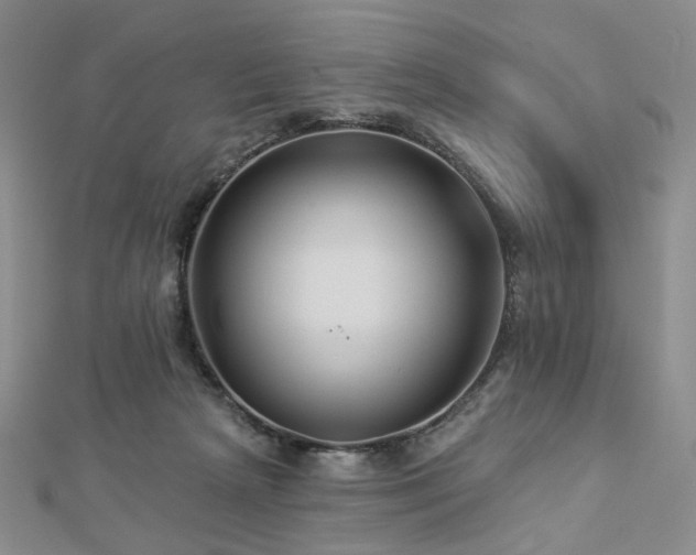 X0000112890265200908211500