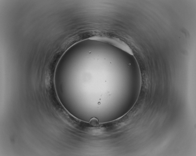 X0000112890266200908211500