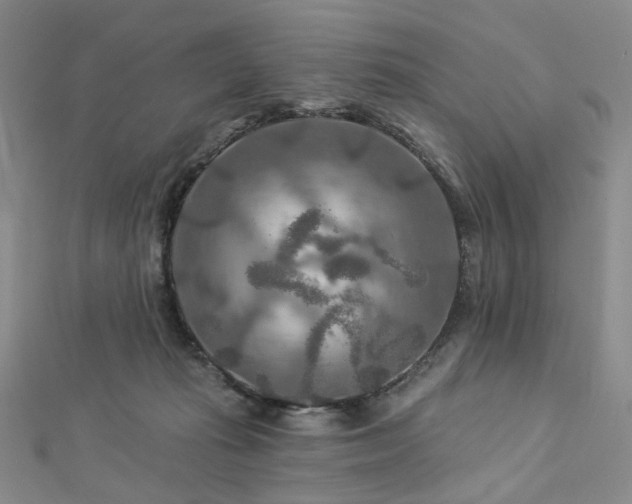 X0000112890269200908211500