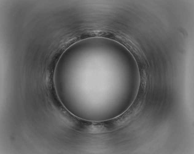 X0000112890270200908211500