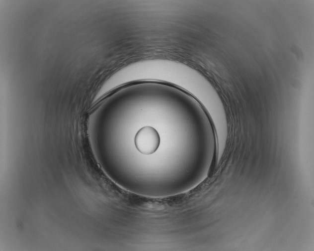 X0000112890272200908211500