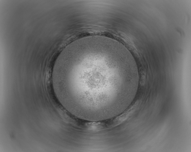 X0000112890273200908211500