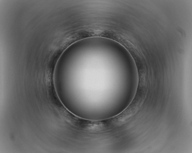 X0000112890274200908211500