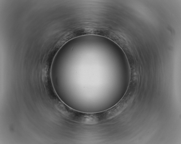 X0000112890275200908211500