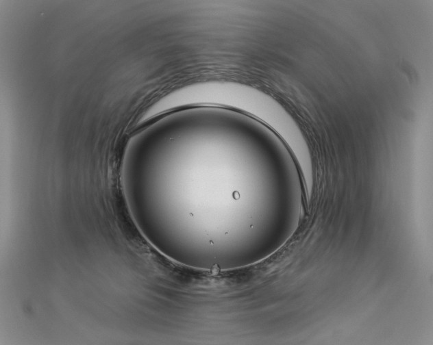 X0000112890276200908211500
