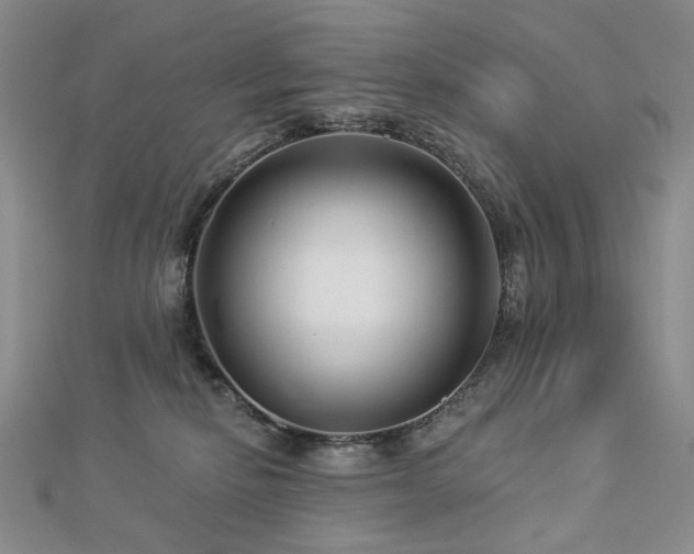 X0000112890278200908211500