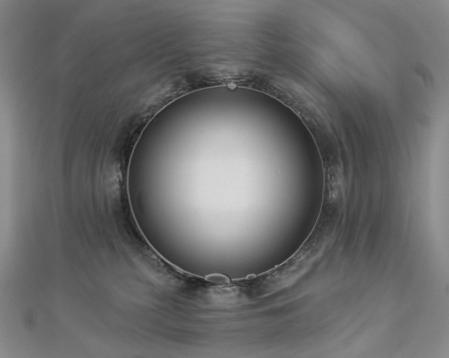 X0000112890279200908211500