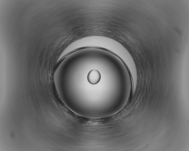 X0000112890280200908211500