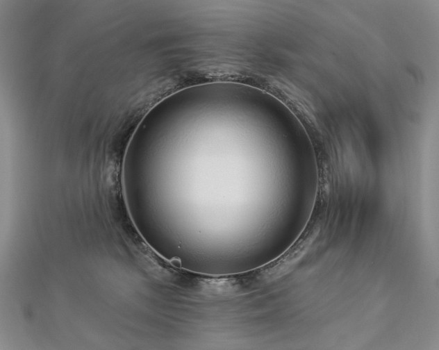 X0000112890281200908211500