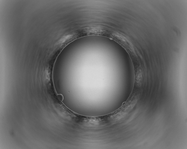X0000112890282200908211500