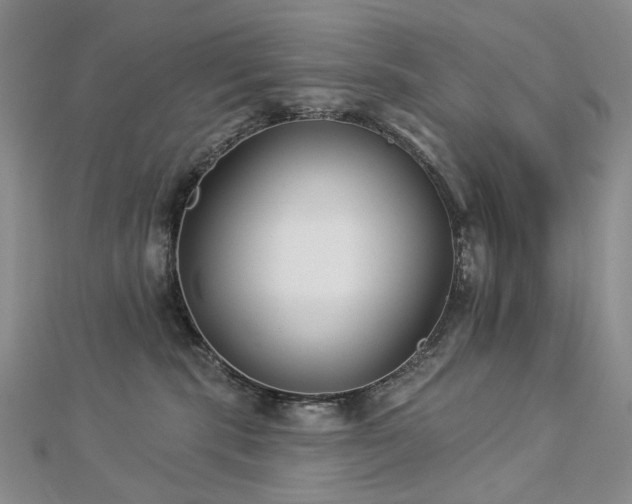 X0000112890283200908211500
