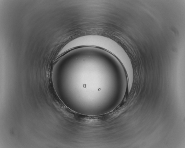 X0000112890284200908211500