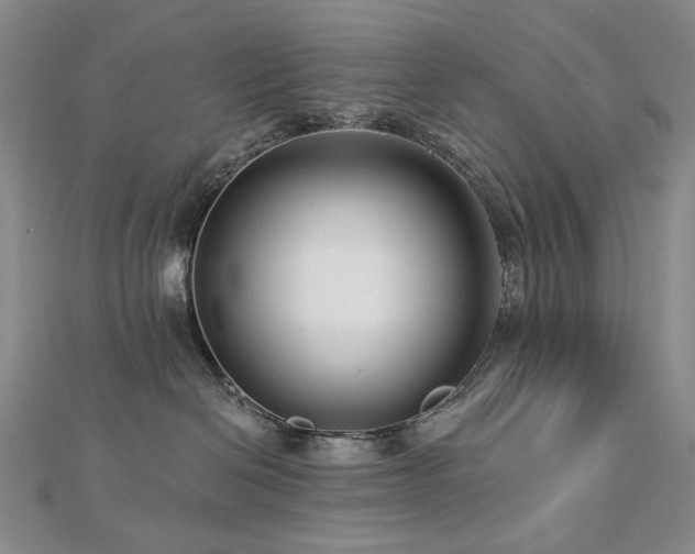 X0000112890286200908211500