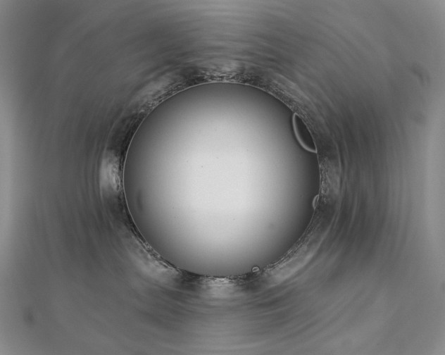 X0000112890287200908211500