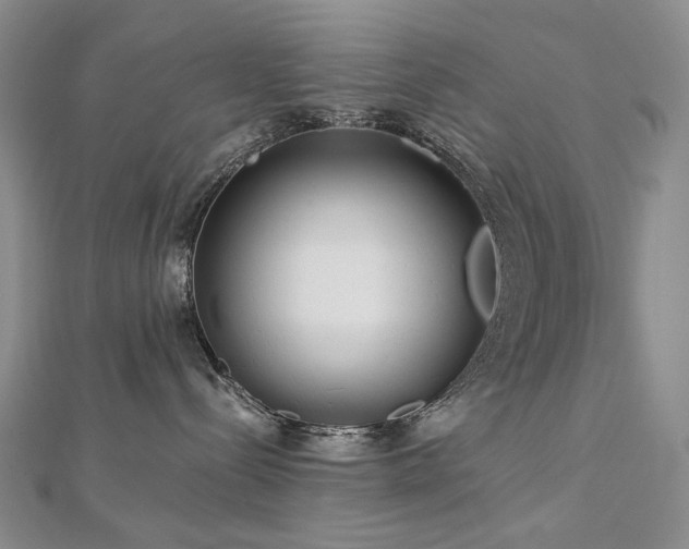 X0000112890288200908211500