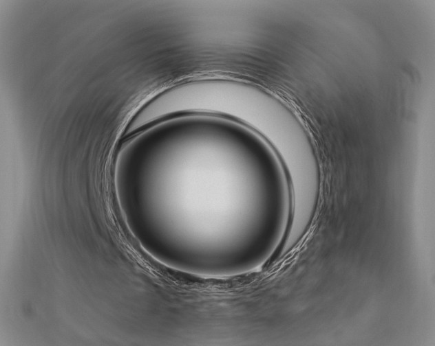 X0000112890289200908211500