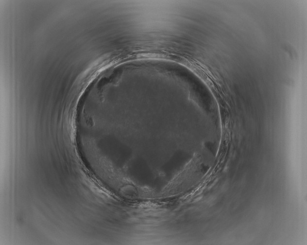 X0000112890290200908211500