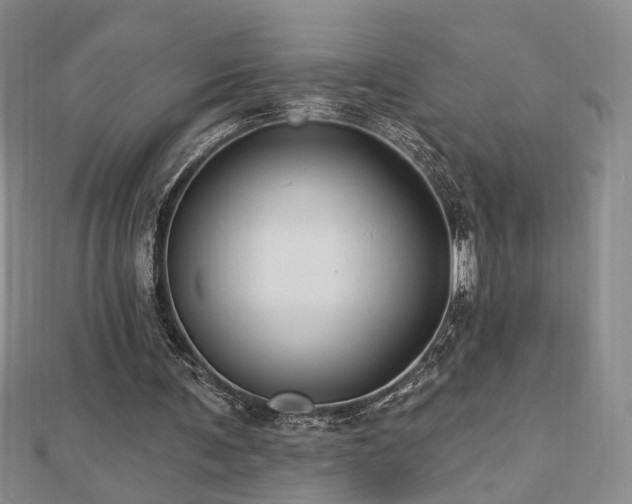 X0000112890291200908211500