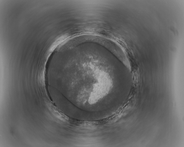 X0000112890292200908211500