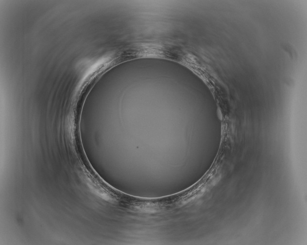 X0000112890293200908211500
