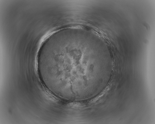 X0000112890294200908211500