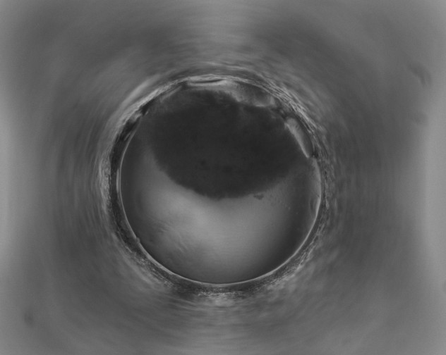 X0000112890295200908211500