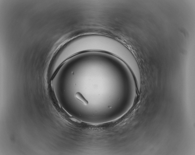 X0000112890296200908211500