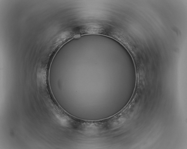 X0000112890297200908211500