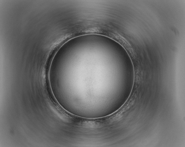 X0000112890298200908211500