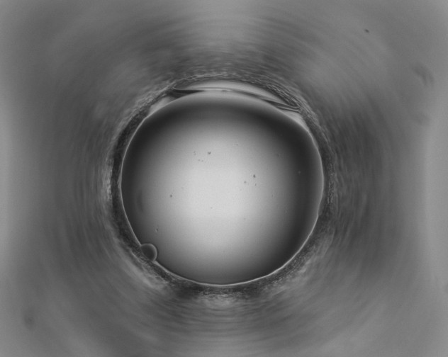 X0000112890299200908211500
