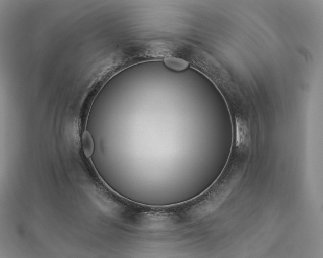 X0000112890300200908211500