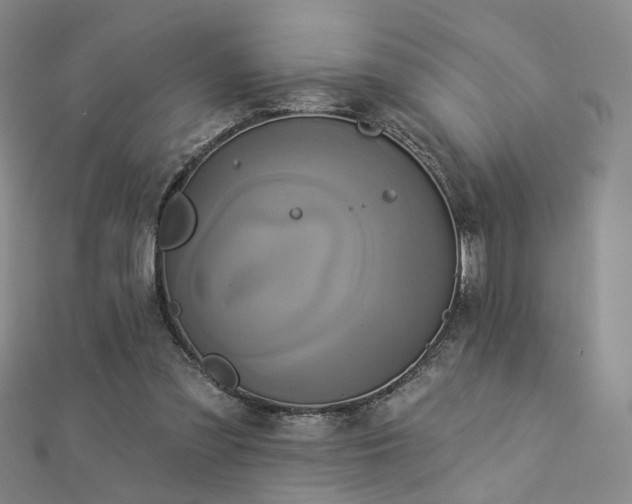 X0000112890301200908211500