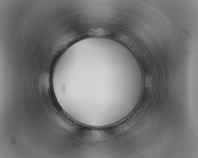 X0000112890302200908211500