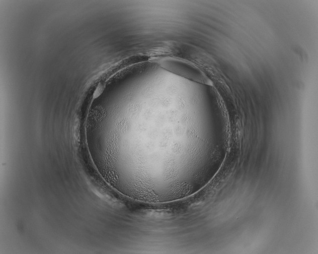 X0000112890303200908211500