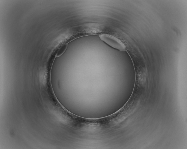 X0000112890304200908211500
