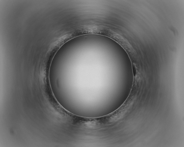 X0000112890306200908211500