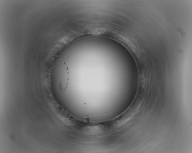 X0000112890307200908211459