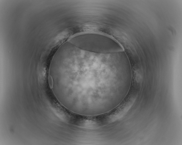 X0000112890308200908211459