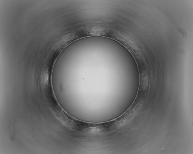 X0000112890310200908211459