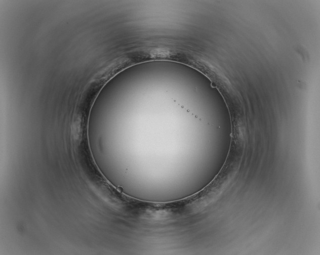 X0000112890311200908211459
