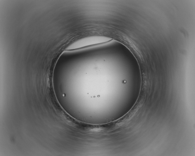 X0000112890313200908211459