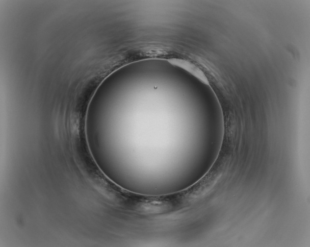 X0000112890315200908211459