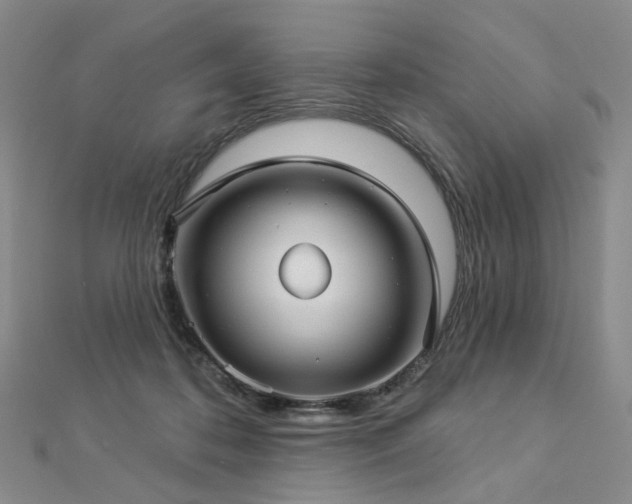 X0000112890316200908211459