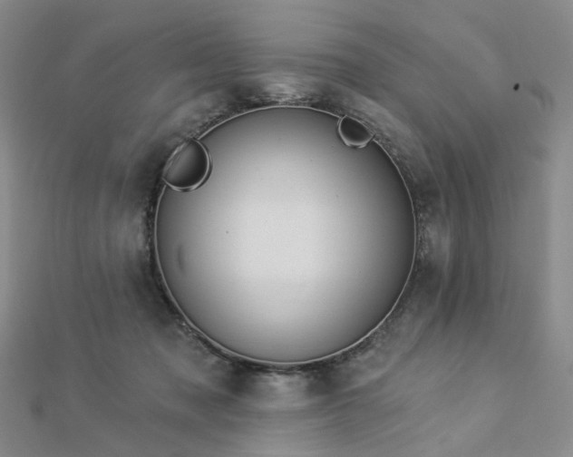 X0000112890317200908211459