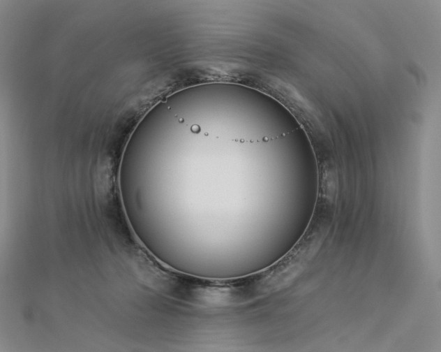 X0000112890318200908211459