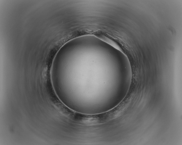 X0000112890319200908211459