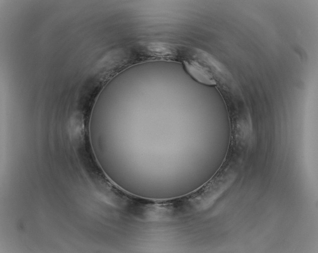 X0000112890320200908211459
