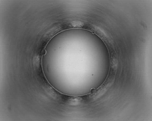 X0000112890321200908211459