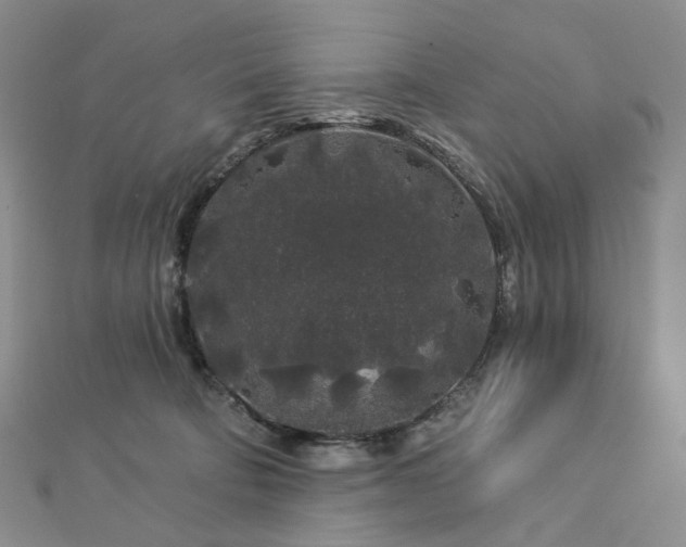 X0000112890322200908211459